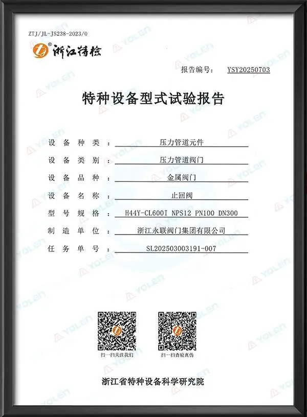 止回阀特种设备型式试验报告