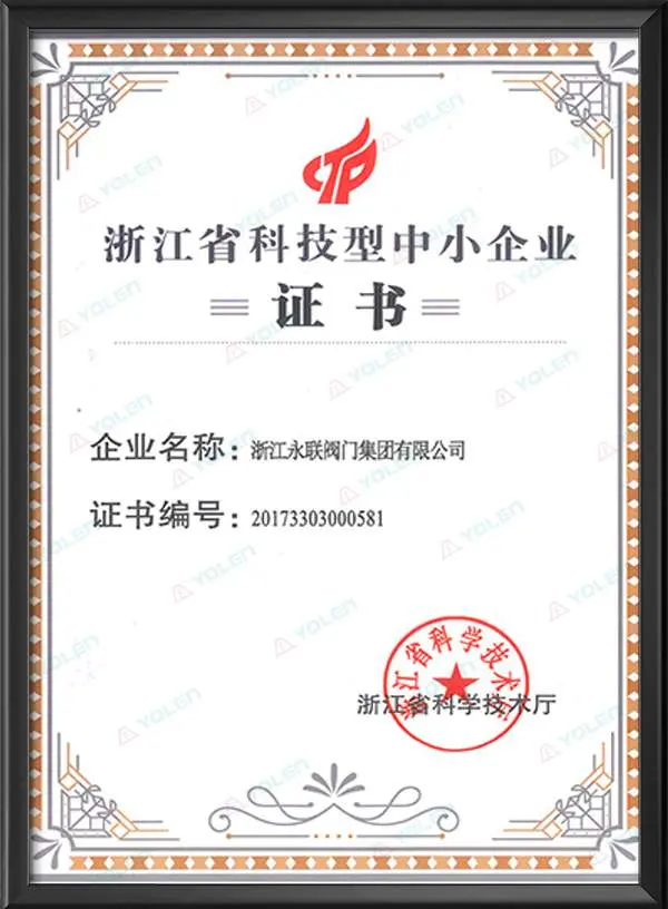 浙江省科技型中小企业证书
